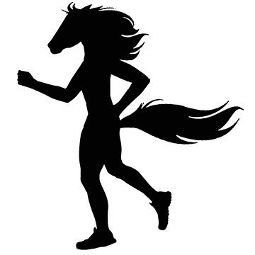 Półmaraton Mustanga 2016