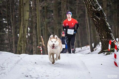 Krzysztof počas Pogórzański Bieg Górski - Zima 2024