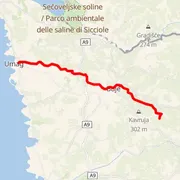 Mapa trate