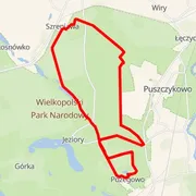 Mapa trate
