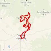 Mapa trate