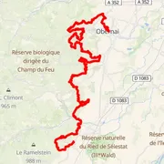 Mapa trate