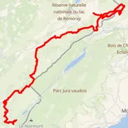 Mapa trate