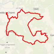 Mapa trate