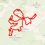 Mapa trate