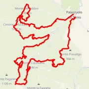 Mapa trate