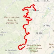 Mapa trate