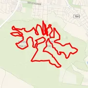 Mapa trate