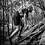 Fotografia