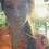 Fotografia