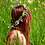 Fotografia