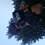 Fotografia
