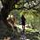 Fotografia