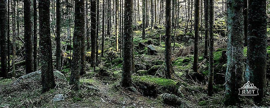 Październik 310k 2023